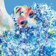 SYNESTHESIA