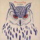 Toru Nishijima／Phenomenology