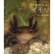 うまれたよ!イモリ(よみきかせいきものしゃしんえほん〈34〉) [絵本]
