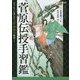 菅原伝授手習鑑(ストーリーで楽しむ文楽・歌舞伎物語〈1〉) [全集叢書]