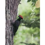 クマゲラ(北国からの動物記〈9〉) [絵本]