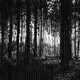 Eartaker／Harmonics