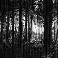 Eartaker／Harmonics