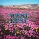ウェストカスト／westkust