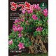 さつき研究 2019年 04月号 [雑誌]