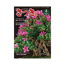 さつき研究 2019年 04月号 [雑誌]