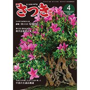 さつき研究 2019年 04月号 [雑誌]
