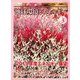 月刊 ビジネスアイエネコ 2019年 03月号 [雑誌]