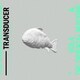 VOLA & THE ORIENTAL MACHINE／Transducer