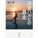涼宮ハルヒの暴走(角川文庫) [文庫]