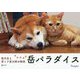 岳パラダイス―柴犬岳と茶トラ寅次朗の物語 [単行本]