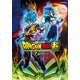 ドラゴンボール超 ブロリー [DVD]
