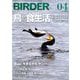 BIRDER (バーダー) 2019年 04月号 [雑誌]