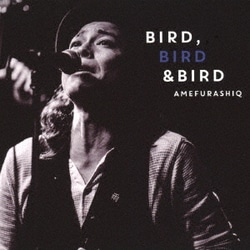 AMEFURASHIQ／BIRD,BIRD & BIRD