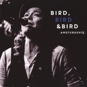 BIRD,BIRD & BIRD