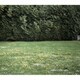 mitsume／Ghosts
