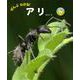 ぜんぶわかる！　アリ(しぜんのひみつ写真館<9>) [単行本]