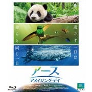 アース:アメイジング・デイ