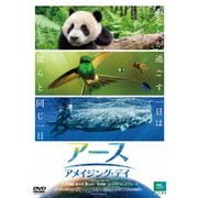 アース:アメイジング・デイ