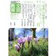 文芸教育117号 [単行本]