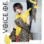 voice of..