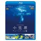 世界自然遺産 小笠原 ～ボニンブルーの海～ (ビコム Relaxes) [Blu-ray Disc]