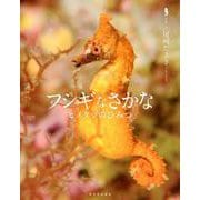 フシギなさかな-ヒメタツのひみつ [絵本]