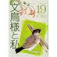 文鳥様と私 19（LGAコミックス） [コミック]