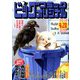 ビッグコミックオリジナル 2019年 4/20号 [雑誌]
