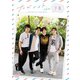 たびメイト 沖縄編 下巻 [DVD]