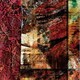 Merzbow／Environmental Percussion Vol.1