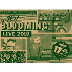 A3! BLOOMING LIVE 2019 IN KOBE [DVD]