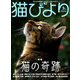 猫びより 2019年 05月号 [雑誌]
