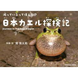 減っているってほんと！？ 日本カエル探検記（少年写真絵本） [絵本]