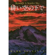 緋い空の下で（上） [文庫]