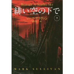 緋い空の下で（下） [文庫]