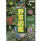 身近な野草が見分けられる野草図鑑 新装版 [単行本]