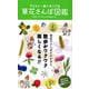 子どもと一緒に見つける草花さんぽ図鑑 [単行本]