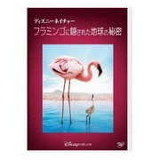 ディズニーネイチャー/フラミンゴに隠された地球の秘密