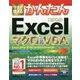 今すぐ使えるかんたん Excelマクロ＆VBA （Excel 2019/2016/2013/2010対応版） [単行本]