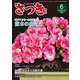 さつき研究 2019年 06月号 [雑誌]