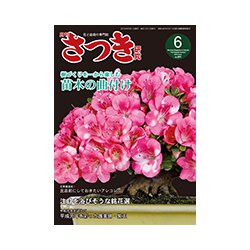 さつき研究 2019年 06月号 [雑誌]