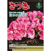 さつき研究 2019年 06月号 [雑誌]