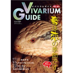 ビバリウムガイド 2019年 06月号 [雑誌]
