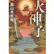 火神子－天孫に抗いし者 [単行本]