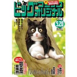 ビッグコミックオリジナル 2019年 5/20号 [雑誌]