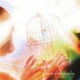 ピロカルピン／a new philosophy