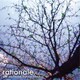 ラショナール／You Are Flawed, But You'll Be Fine.