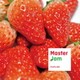 マスタージャム／マスタージャム