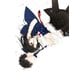 墜落JKと廃人教師 5巻 ミニカラー画集付き特装版 [コミック]
